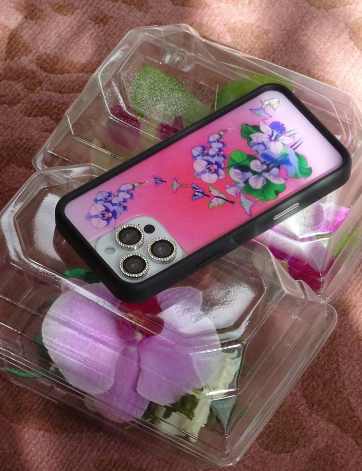 Wildflower Butterfly Dreams iPhone Case