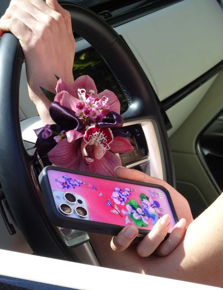 Wildflower Butterfly Dreams iPhone Case