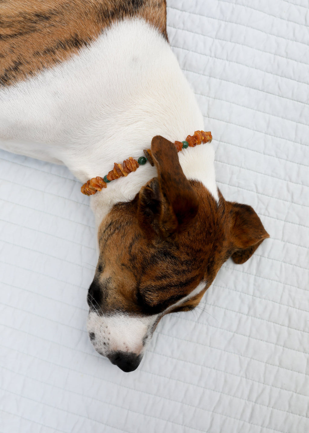 CanyonLeaf Pet Necklace: Raw Baltic Amber + Natural Green Jade