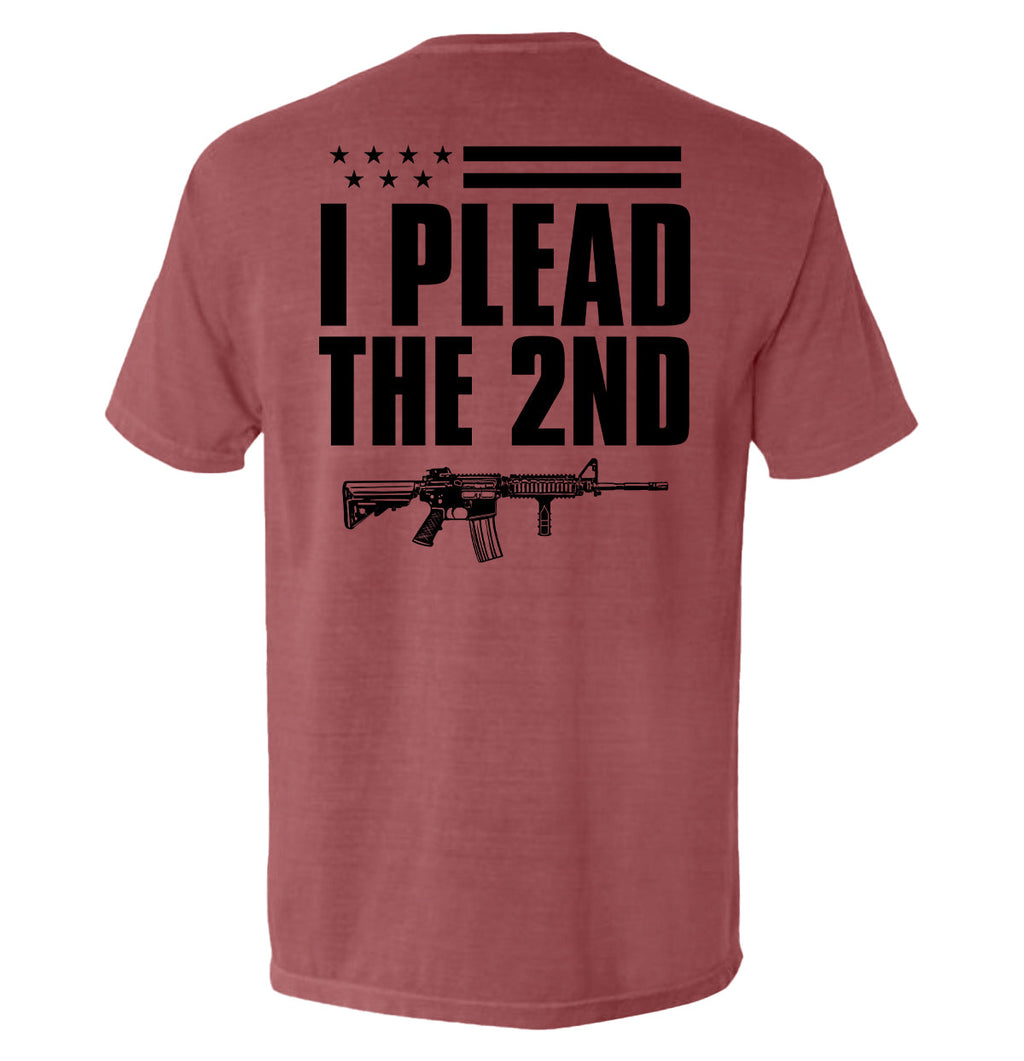 I Plead The 2nd Amendment T-Shirt – Back Print