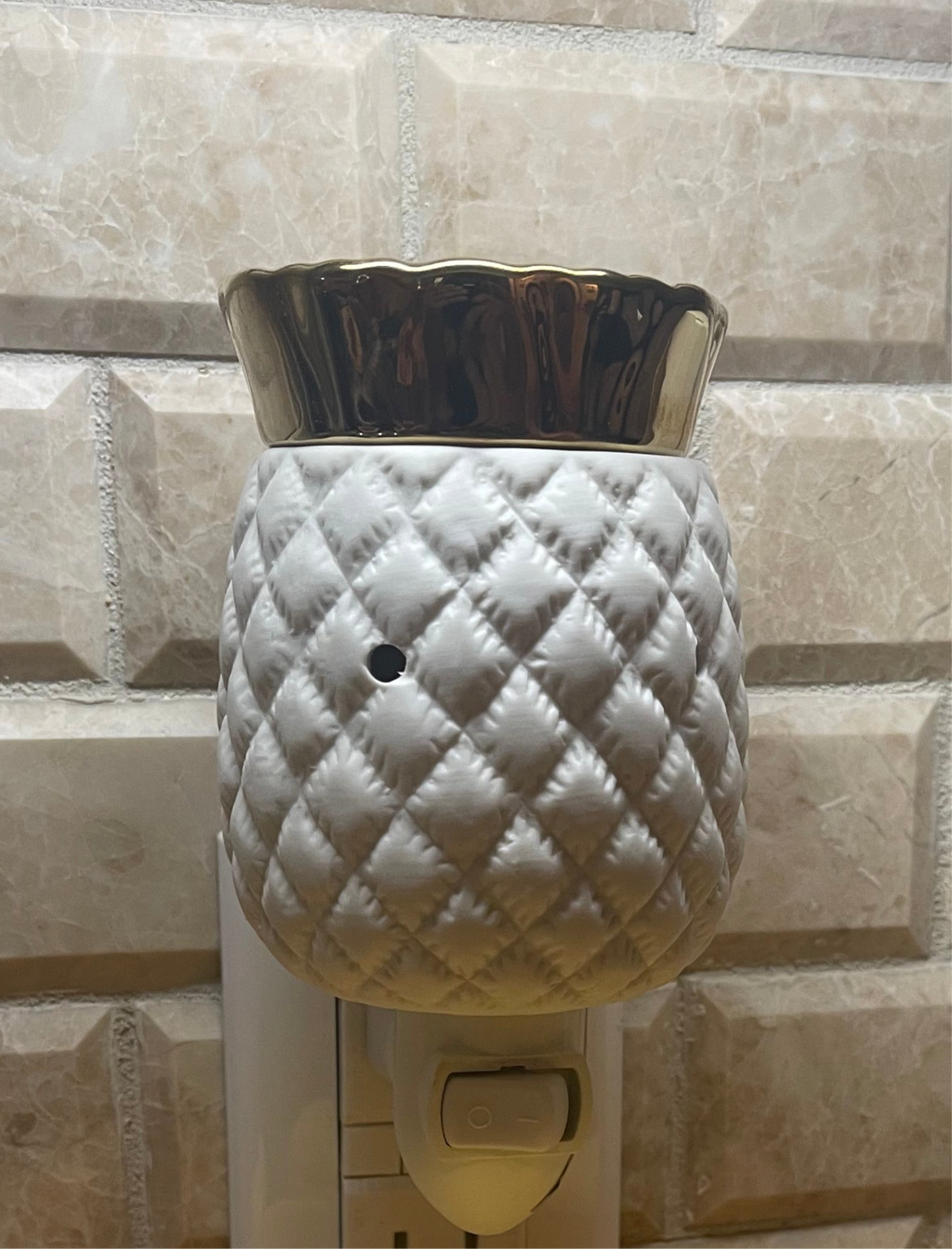 Blessed Bayou Plug In Warmers