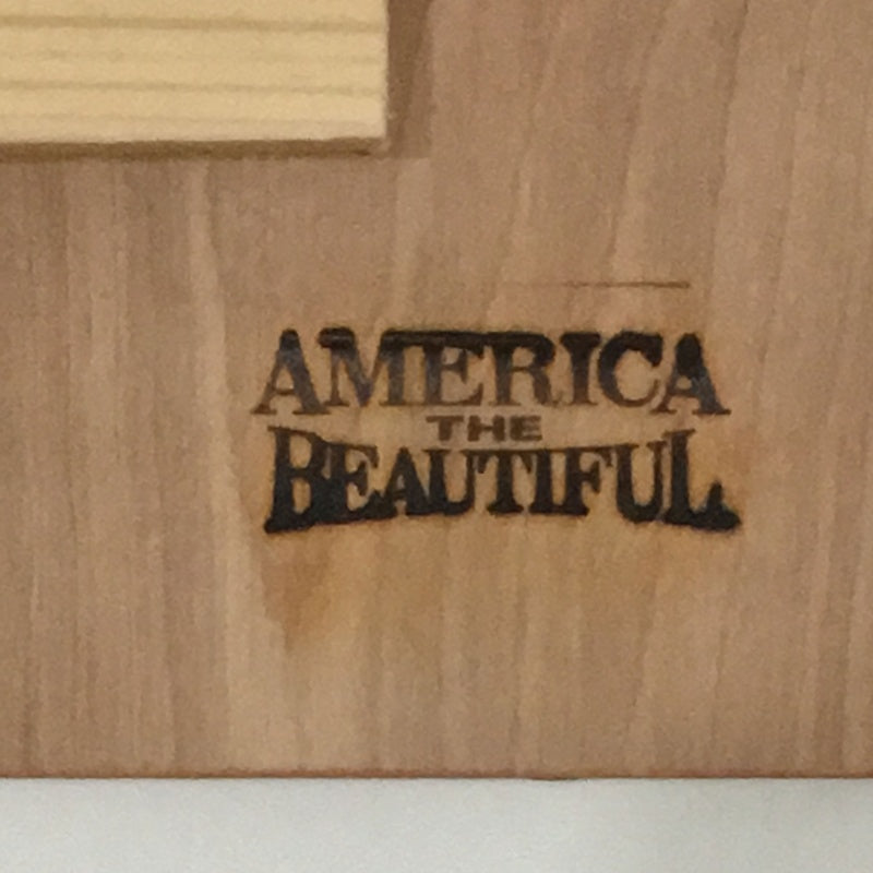 Cowboy Boot Wood Wall Plaque by America The Beautiful®